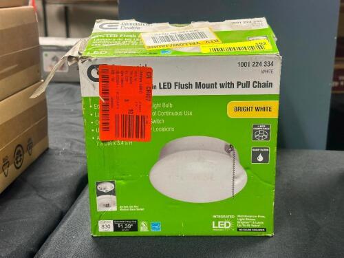 (2) LED FLUSH MOUNT LIGHT WITH PULL CHAIN