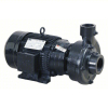 (1) CENTRIFUGAL PUMP