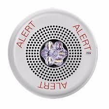 (1) EXIT ALERT LIGHT FIXTURE