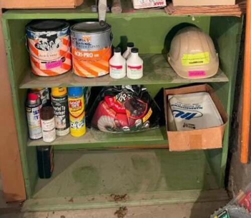GREEN BOOKCASE