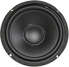 (3) SPEAKER
