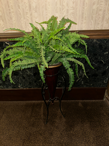 (2) FAUX POTTED PLANT W/ PLANTER.