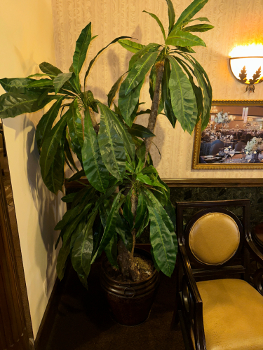 LARGE FAUX POTTED PLANT W/ PLANTER.