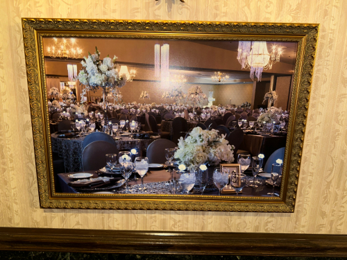 (10) 33" X 24" PICTURE FRAMES.