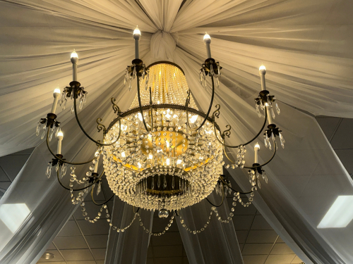 LARGE CRYSTAL CHANDELIER WITH STRANDS AND DROPLETS HANGING FROM EACH ARM. THE METAL FRAME IS GOLD-TONE