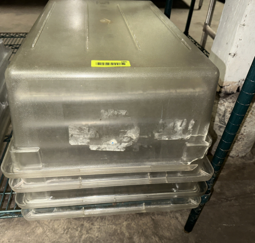 (4) 8 GALLON PLASTIC CONTAINERS. NO LIDS.
