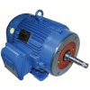 (1) CLOSE COUPLED PUMP MOTOR