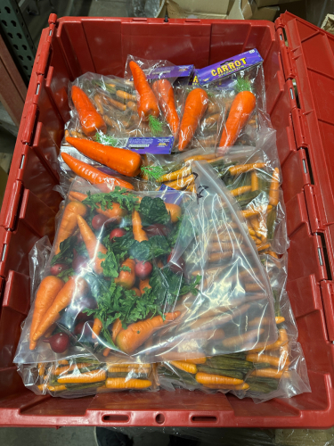 PLASTIC TOTE AND CONTENTS - ASSORTED PLASTIC /FAUX CARROTS.