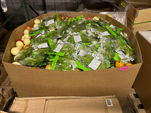 (1) GAYLORD OF ASSORTED PLASTIC / FAUX VEGETABLES.