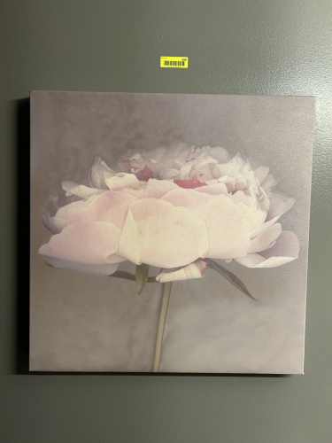 WALL DECOR FLOWER PICTURE