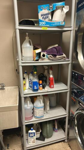 CONTENTS OF SHELF - ASSORTED CLEANING SUPPLIES