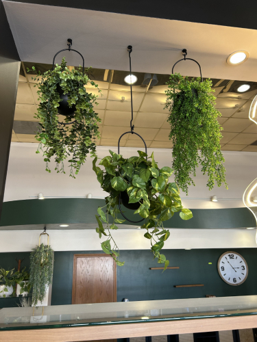 (6) ASSORTED FAUX HANGING PLANTS