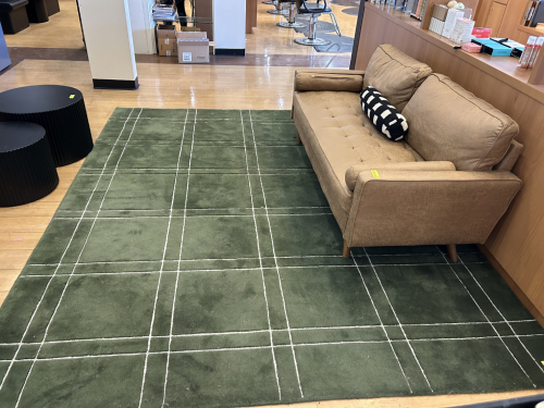 9' X 11' APPROX GREEN AND WHITE AREA RUG W/ SQUARE PATTERN