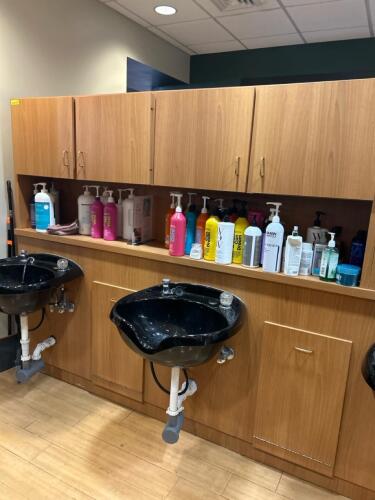 2 PERSON SHAMPOO STATION WITH CABINETRY