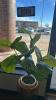 ARTIFICIAL PLANT IN GOLD TONE PLANTER - 3