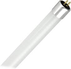 (12) LIGHT BULB REPLACEMENTS