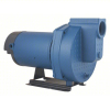 (1) SPRINKLER PUMP