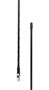 (3) ANTENNA