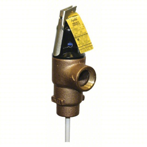 (2) TEMPERATURE AND PRESSURE RELIEF VALVE