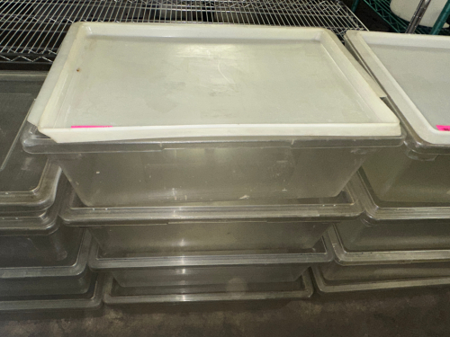 (4) 13 GALLON PLASTIC SALAD CONTAINERS W/ LIDS.