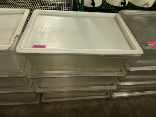 (4) 13 GALLON PLASTIC SALAD CONTAINERS W/ LIDS.