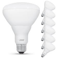 (11) INCANDESCENT LIGHT BULBS