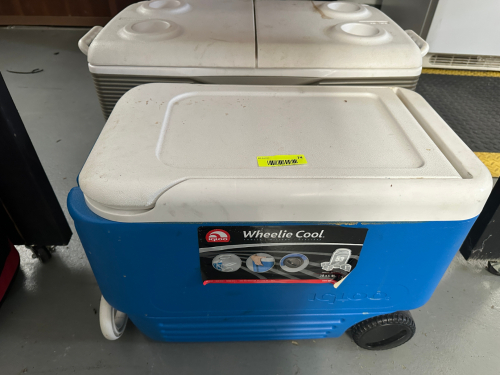 (2) ASSORTED PLASTIC COOLERS.