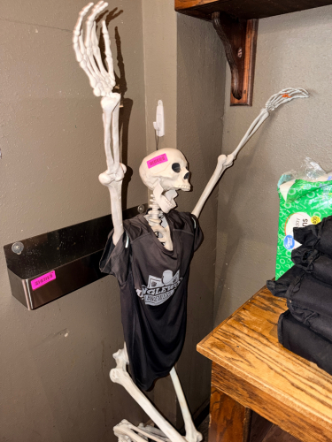 PLASTIC SKELETON