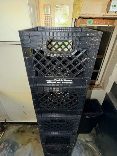 (6) BLACK PLASTIC MILK CRATES.