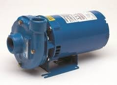 (1) BARE PUMP