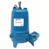 (1) SEWAGE EJECTOR PUMP