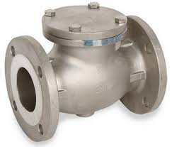 (1) SWING CHECK VALVE