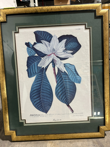 FRAMED PICTURE