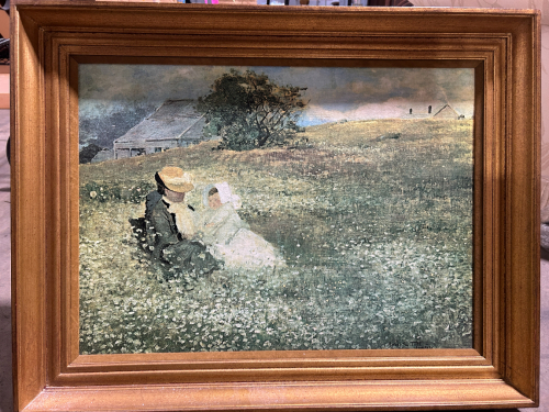 FRAMED PRINT