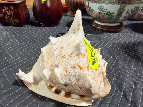SHELL