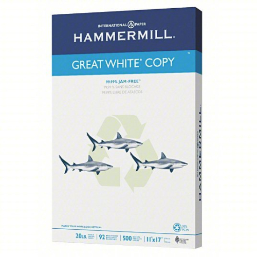 (1) PACK OF (500) MULTIPURPOSE PAPER