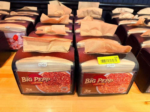 (10) PLASTIC NAPKIN DISPENSERS.