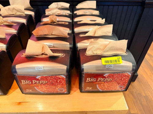 (10) PLASTIC NAPKIN DISPENSERS.