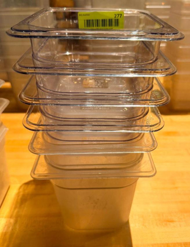 (6) 1/6TH SIZE PLASTIC INSERTS.