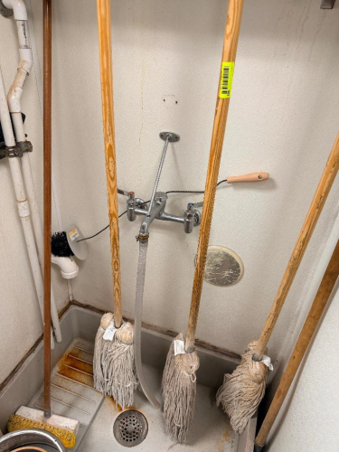 (3) MOP HANDLES