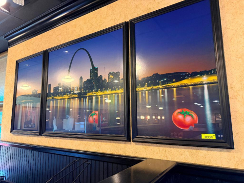 FRAMED ST. LOUIS SKYLINE WALL ART (3-PANEL SET)