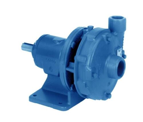 (1) BARE PUMP
