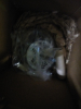 (1) FAN AND BLOWER MOTOR - 3