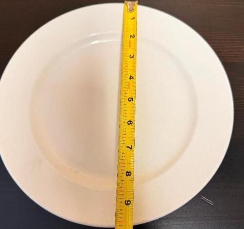 (20) 10" CHINA PLATES