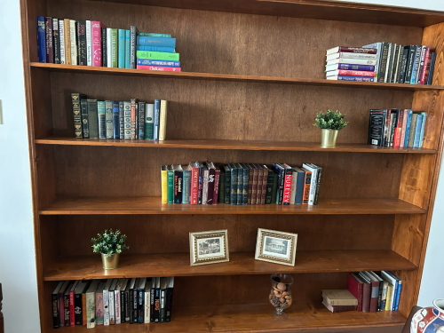 LARGE LOT OF BOOKS