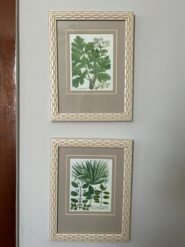 (2) FRAMED PICTURES