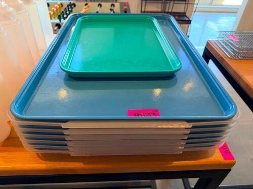 (6) LARGE PLASTIC TRAYS W/ LIDS.