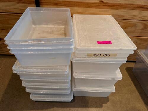 (1) LOT OF ASSORTED FISH BOXES