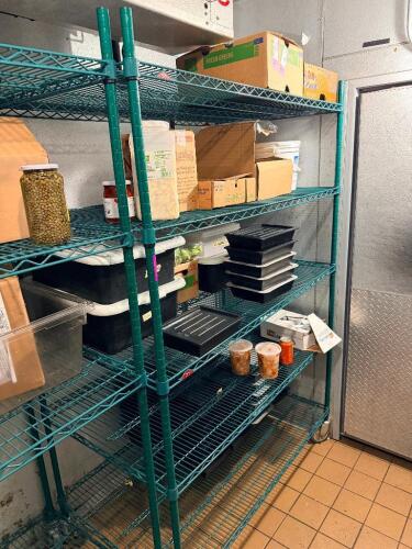 48"X 30" FIVE TIER COATED WIRE SHELF ( ON CASTERS )