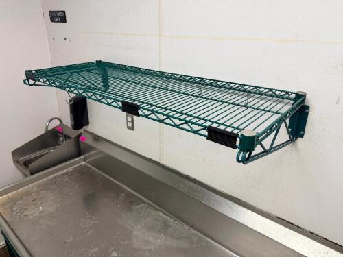 (3) 48" X 18" COATED WIRE WALL SHELVES.